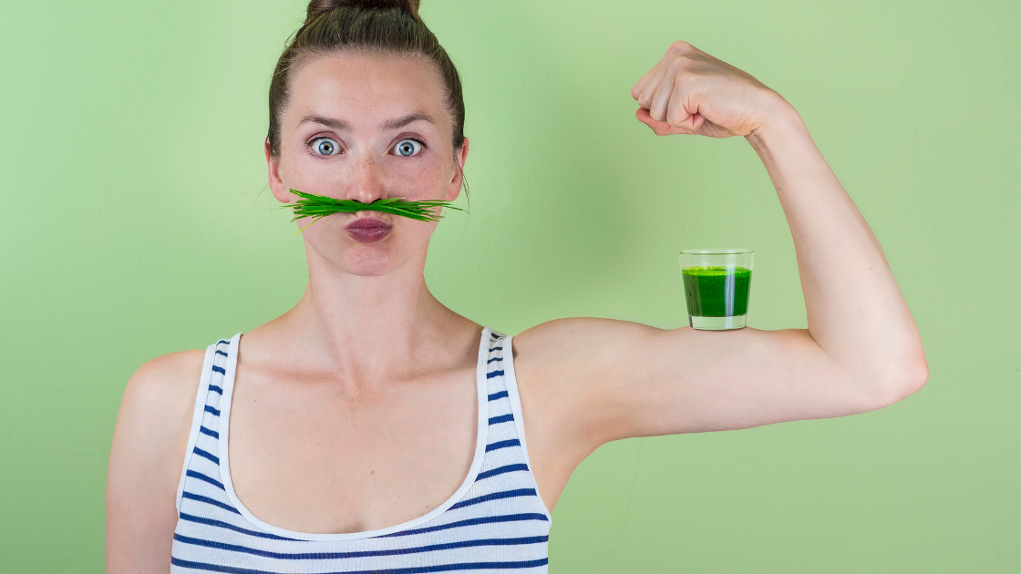 Wheatgrass | 7 Reasons to Drink Wheatgrass Everyday (Read to the end!)