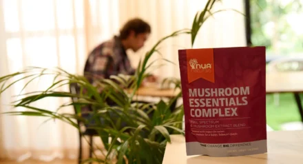 Lion’s Mane, Reishi and Cordyceps: a guide to medicinal mushroom extracts