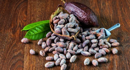 Organic vs Natural: What's the Real Difference?