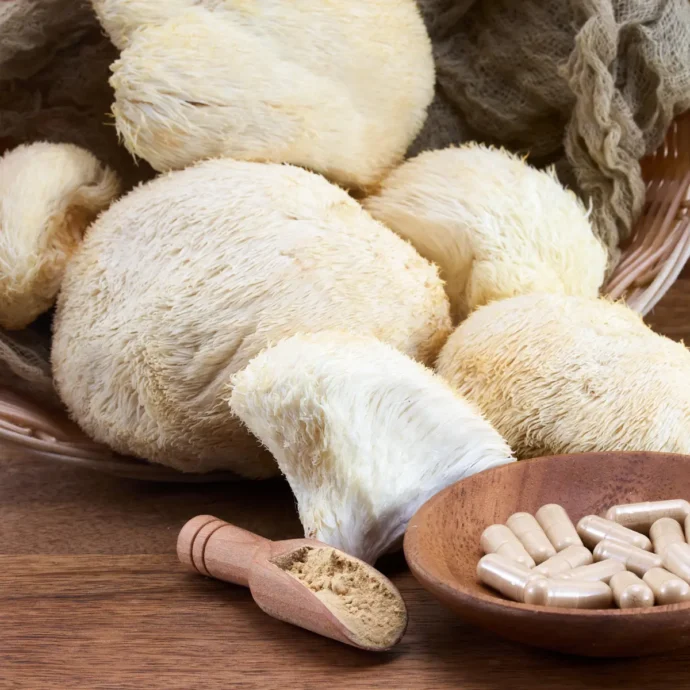 What Are Medicinal Mushroom Extracts?